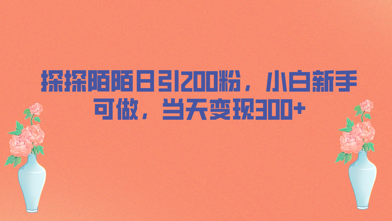 探探陌陌日引200粉,小白新手可做,当天就能变现300+