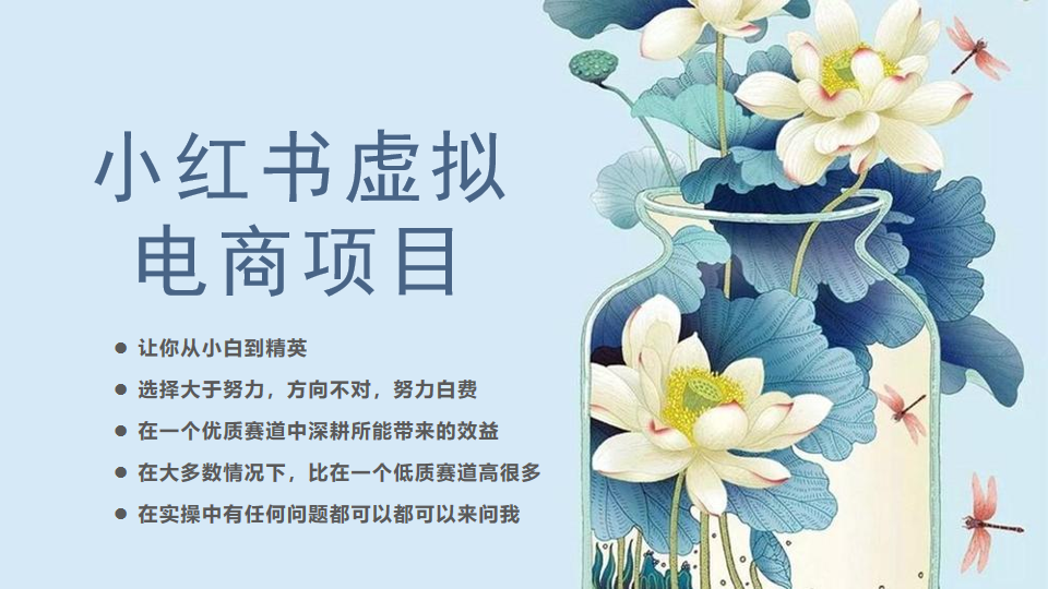 小红书虚拟电商从0到1,让你从小白到精英(20节实操课程)