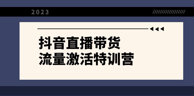 抖音直播带货-流量激活特训营,入行新手小白主播必学(21节课+资料)