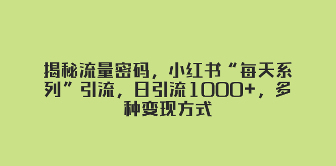 揭秘流量密码,小红书“每天系列”引流,日引流1000+,多种变现方式