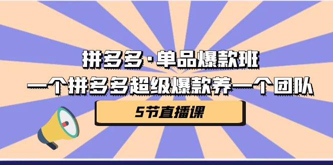 拼多多·单品爆款班,一个拼多多超级爆款养一个团队(5节直播课)