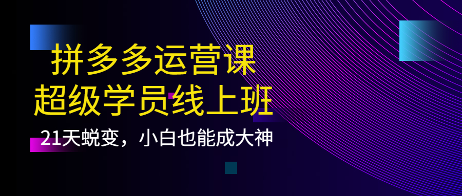 拼多多运营课:超级学员线上班,21天蜕变,小白也能成大神