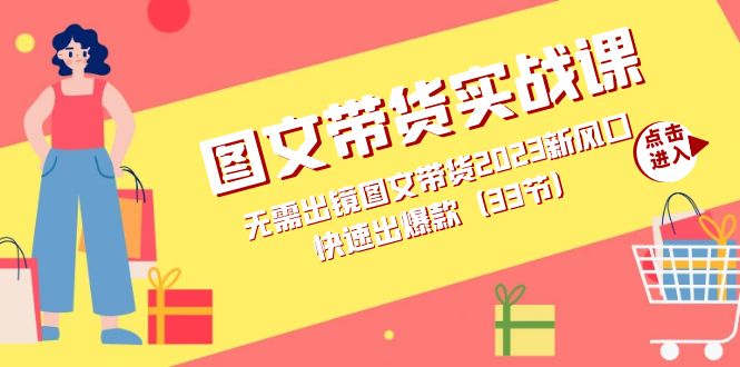 图文带货实战课:无需出镜图文带货2023新风口,快速出爆款(33节)