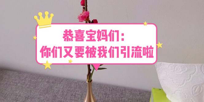 恭喜宝妈们:你们又要被我们引流了(教程+222g资料)