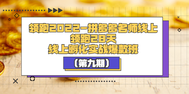 领跑2022-拼多多名师线上领跑28天,线上孵化实战爆款班(第九期)