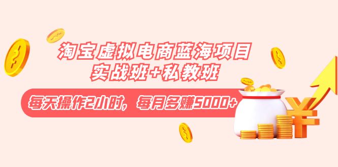 淘宝虚拟电商蓝海项目实战班+私教班:每天操作2小时,每月多赚5000+