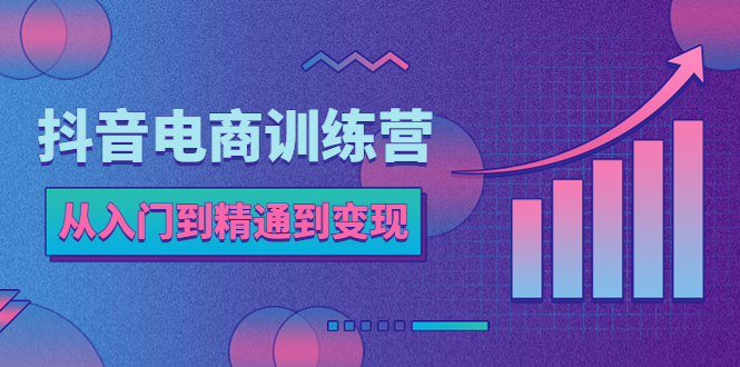 抖音电商训练营:从入门到精通,从账号定位到流量变现,抖店运营实操