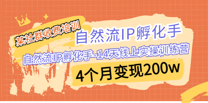 某社群收费培训:自然流IP 孵化手-14天线上实操训练营 4个月变现200w