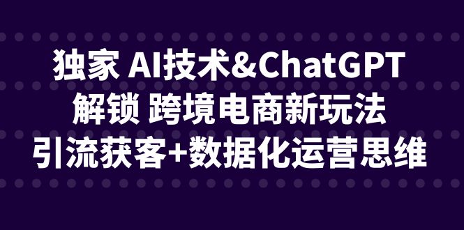 独家 AI技术&ChatGPT解锁 跨境电商新玩法,引流获客+数据化运营思维