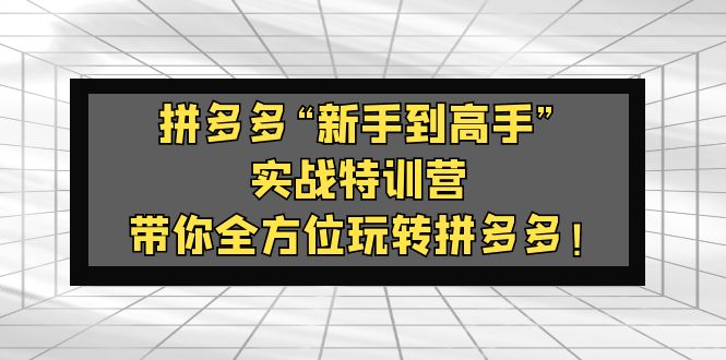 拼多多“新手到高手”实战特训营:带你全方位玩转拼多多!