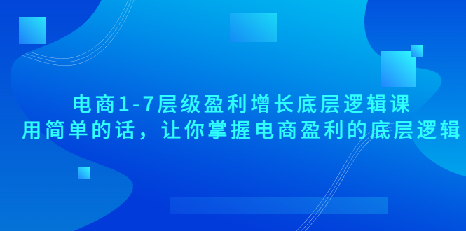 电商1-7层级盈利增长底层逻辑课:用简单的话,让你掌握电商盈利的底层逻辑
