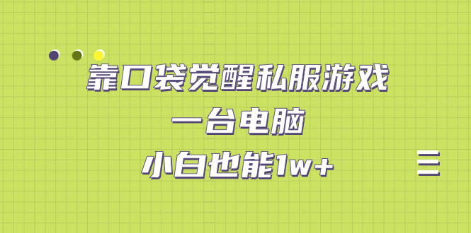 靠口袋觉醒私服游戏,一台电脑,小白也能1w+(教程+工具+资料)