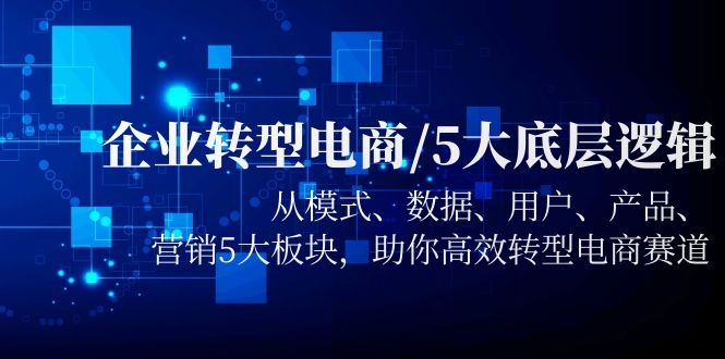 企业转型电商/5大底层逻辑,从模式 数据 用户 产品 营销5大板块,高效转型