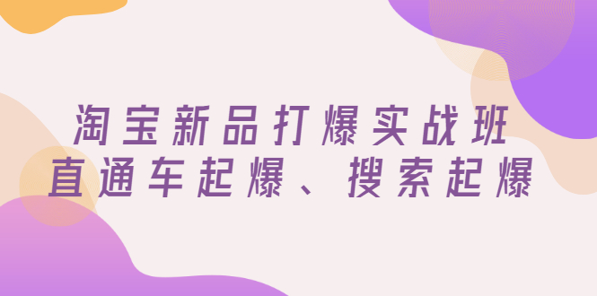 淘宝新品打爆实战班,直通车起爆、搜索起爆(价值599元)