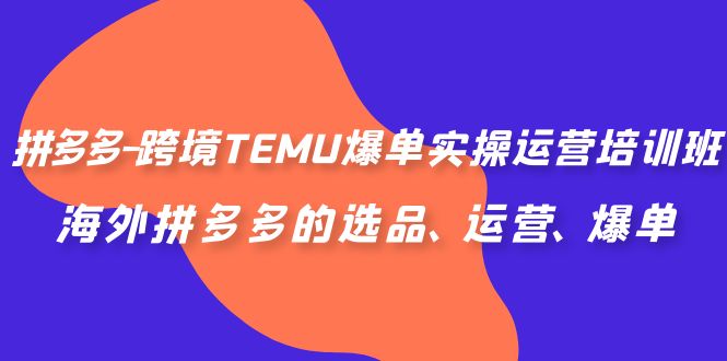 拼多多-跨境TEMU爆单实操运营培训班,海外拼多多的选品、运营、爆单