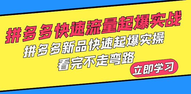 拼多多-快速流量起爆实战,拼多多新品快速起爆实操,看完不走弯路