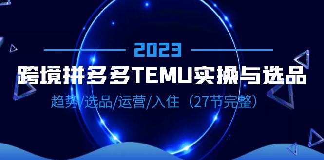 2023跨境·拼多多·TEMU实操与选品,趋势·选品·运营·入住(27节完整)