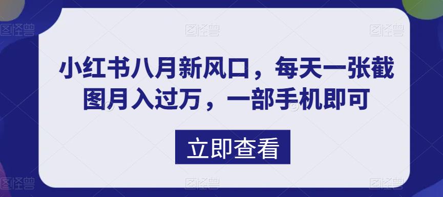 八月新风口,小红书虚拟项目一天收入1000+,实战揭秘