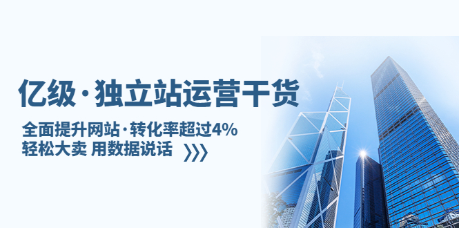 亿级·独立站运营干货:全面提升网站·转化率超过4%,轻松大卖 用数据说话