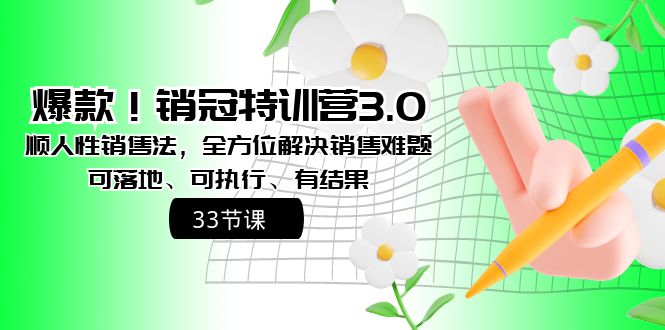 爆款!销冠特训营3.0之顺人性销售法,全方位解决销售难题、可落地、可执...