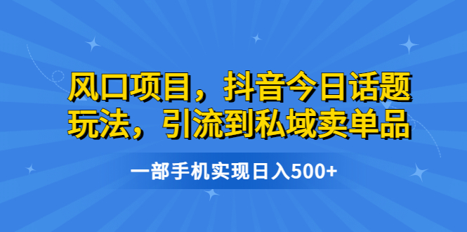 风口项目,抖音今日话题玩法,引流到私域卖单品,一部手机实现日入500+