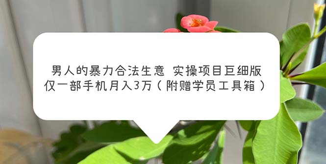 男人的暴力合法生意实操项目巨细版:仅一部手机月入3w(附赠学员工具箱)