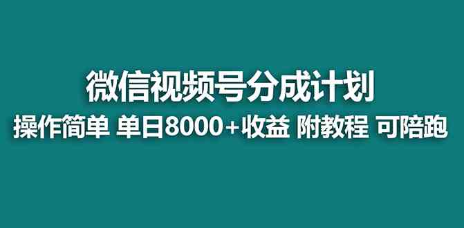 【蓝海项目】视频号分成计划最新玩法,单天收益8000+,附玩法教程,24年…